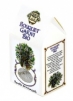 Bouquet Garni BIO Provence d'Antan, 20 sáčků náhradní náplň Bouquet Garni BIO Provence d'Antan, 20 sáčků náhradní náplň